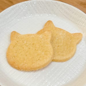ねこサブレ